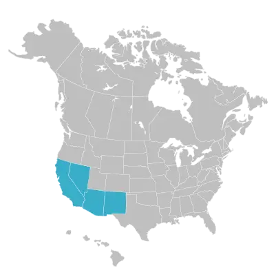 In the Southwest