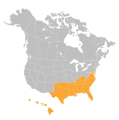 In the Southeast